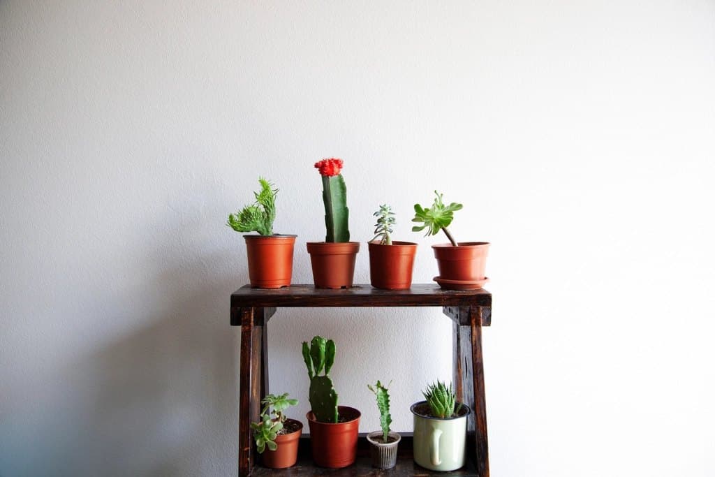 Floating Wall Shelf