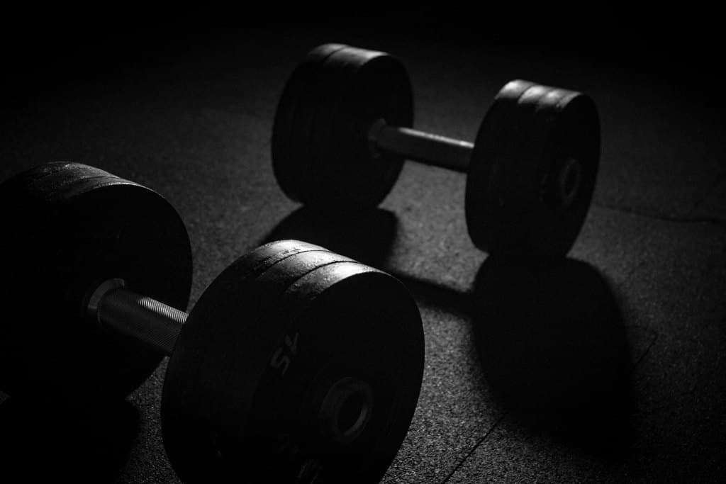 Pair of Home Dumbbells