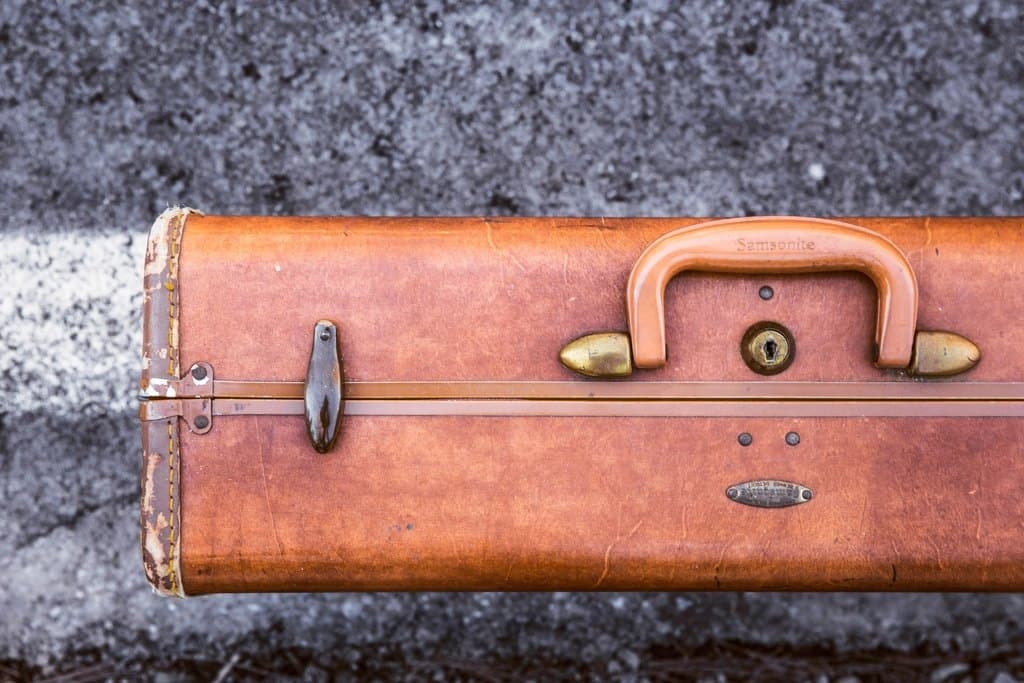Structured Travel Case